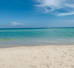 a beach with the ocean and people in the water at Pelican Hotel in Miami Beach