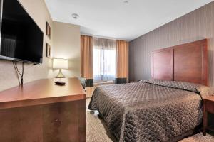 Hotel Pergola Jamaica JFK في كوينز: غرفة فندقية بسرير ومكتب مع تلفزيون