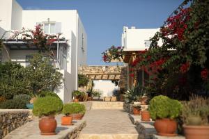 une cour avec des plantes en pot et des fleurs dans un bâtiment dans l'établissement Aeolos Hotel, à Koufonisia