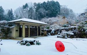 NARA japanese garden villa взимку