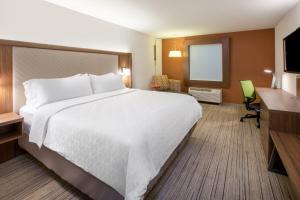 een hotelkamer met een groot bed en een bureau bij Holiday Inn Express & Suites - Bardstown, an IHG Hotel in Bardstown