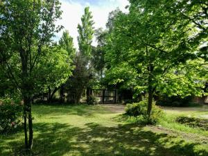 A garden outside Tardecitas del Atuel