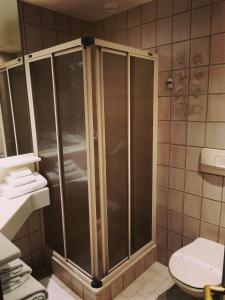 La salle de bains est pourvue d'une douche et de toilettes. dans l'établissement Hotel Fleur-de-Lys, à La Chaux-de-Fonds