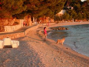 a woman and a dog walking on a beach at Apartmani Stipan in Brela