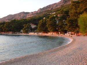 a beach with trees and a mountain in the background at Apartmani Stipan in Brela