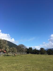 una persona de pie en un campo con una valla en Cabañas Río del Este SPA, en Puerto Varas