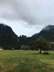 un campo con un árbol y montañas en el fondo en Cabañas Río del Este SPA, en Puerto Varas