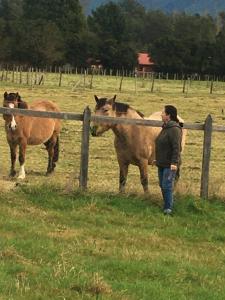 una mujer parada junto a dos caballos en un campo en Cabañas Río del Este SPA, en Puerto Varas