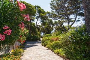 Vrt u objektu Parc et Résidence le Provençal