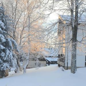 10 minutes walk to the lakes durante el invierno