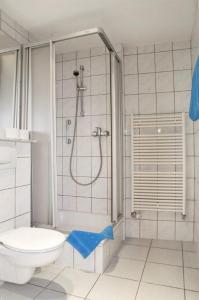 La salle de bains est pourvue d'une douche et de toilettes. dans l'établissement Hotel Willinger Mitte, à Willingen