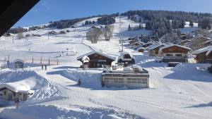 un village enneigé avec des personnes skier sur une piste enneigée dans l'établissement Chalet Hotel Le Mont Bisanne, à Crest-Voland