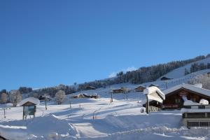 une station de ski couverte de neige sur une montagne dans l'établissement Chalet Hotel Le Mont Bisanne, à Crest-Voland