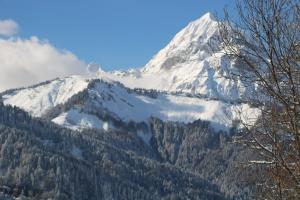 une montagne enneigée avec des arbres au premier plan dans l'établissement Chalet Hotel Le Mont Bisanne, à Crest-Voland