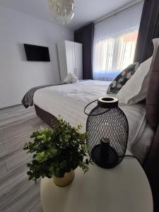 Katil atau katil-katil dalam bilik di Apartament Central Iulia