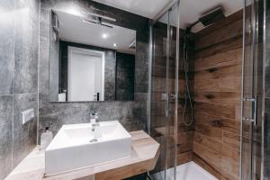 a bathroom with a sink and a shower at Black Forest Dream Apartments in Feldberg