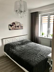 um quarto com uma cama e um lustre em Apartament na Skrzypka em Cieszyn