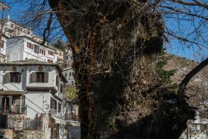 ein Baum vor einer Gruppe von Häusern in der Unterkunft Philos Guesthouse in Makrinítsa