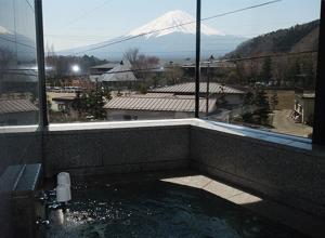 een badkamer met uitzicht op een met sneeuw bedekte berg bij Auberge Mermaid in Fujikawaguchiko