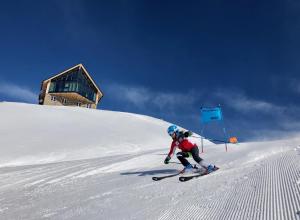 山林小屋或附近的滑雪地點