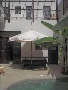 Hồ bơi trong/gần Casa Colonial