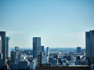 Vedere generală la Tokyo sau o vedere a orașului de la acest hotel