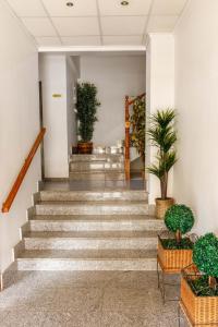 un escalier dans un bâtiment avec des plantes en pot dans l'établissement Hotel Herasu, à Peñíscola