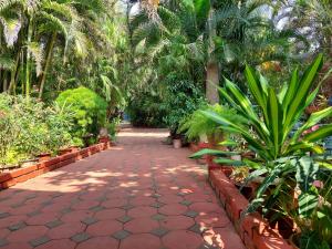 uma passarela num jardim com palmeiras e plantas em Palm Grove Cottages - Leisure Resort em Benaulim