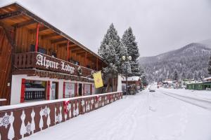 レッドリバーにあるAlpine Lodge Red Riverの雪道