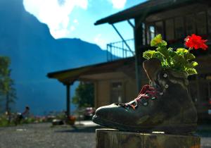 Eine Pflanze in einem Stiefel mit einer Blume darin. in der Unterkunft Hotel Waldrand in Kiental