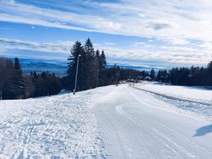 Pohorje Village Wellbeing Resort - Forest Apartments Videc في هوكو بوهوجري: طريق مغطى بالثلج مع مسارات في الثلج