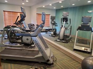 een fitnessruimte met loopbanden en een spiegel bij Holiday Inn Express Hotel & Suites Mattoon, an IHG Hotel in Mattoon