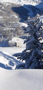 a snow covered tree in front of a snow covered mountain at Hotel Lago Losetta in Sestriere