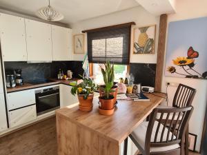 uma cozinha com uma mesa de madeira com vasos de plantas em Airport Residence em Zaventem