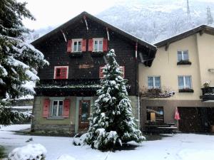 un árbol de Navidad cubierto de nieve frente a una casa en Zimmervermietung Ackersand, en Stalden