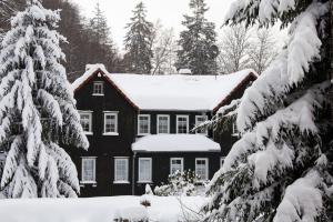 Waldhaus Wolfsbachmühle pozimi