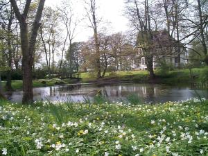 un estanque en un parque con flores en la hierba en Gutshaus Kubbelkow, en Bergen auf Rügen