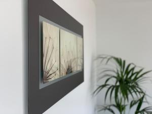 Fotografie z fotogalerie ubytování Cofradia Penthouse v destinaci Alcúdia