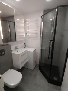 Bathroom sa Apartament Gliwice Centaura, klimatyzacja