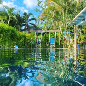 una piscina de agua con árboles en el fondo en Casa Barbara, en Las Terrenas