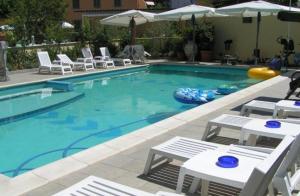 una grande piscina con sedie e un cane di Hotel Flowers a Montecatini Terme