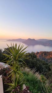 uma vista para o oceano a partir do topo de uma montanha em Résidence Le Bella Vista em Piana