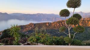 uma vista para uma montanha com árvores e um lago em Résidence Le Bella Vista em Piana