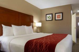 Habitación de hotel con cama grande con almohadas blancas en Comfort Inn, en Santa Fe