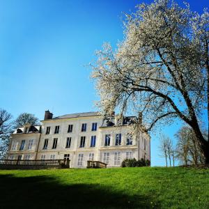 Château du Rollin Orléans - La Chapelle St Mesmin室外花園