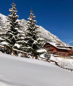 zwei schneebedeckte Pinien vor einer Lodge in der Unterkunft Hotel Piccolo Chalet in Claviere