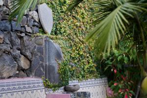 un giardino con pareti in pietra e piante di Ga281 a Funchal