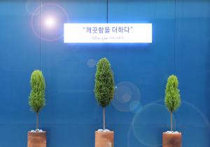 twee potbomen voor een blauwe muur bij Maison Mini Hotel in Gyeongju