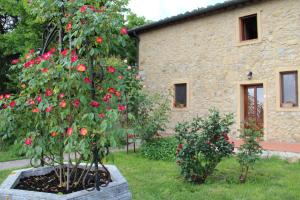 Taman di luar Agriturismo Il Castagnolino