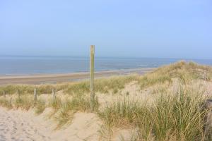 een houten paal in het zand op een strand bij Strandhotel Golfzang in Egmond aan Zee